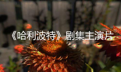 百万利波二季主演片酬曝光特哈第剧集就成富翁