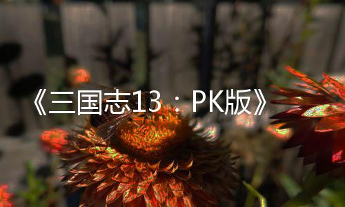 K版略子特孩养攻技培国志三
