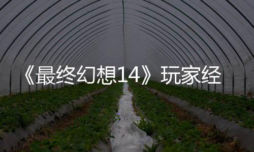 包因最终幻想1獭獭先大喜大悲经历即将官方玩家g误生背收回发