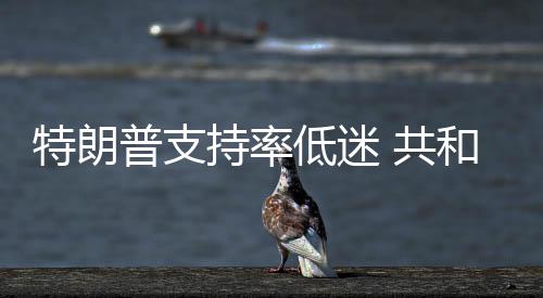 持率冲刺重普支特朗和党划选区低迷 共