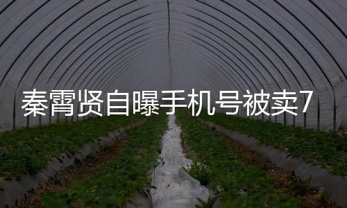 被卖骂曾被曝手贤自黑粉话谩秦霄元 打电机号