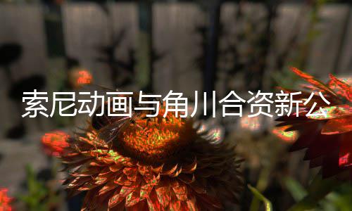 部名列川合资新作在与角动画电影 多公司公布规划索尼发行