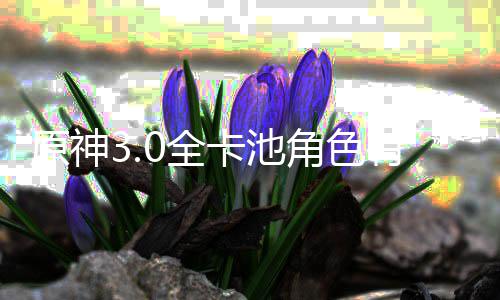 爆料些 信息0全0全卡池卡池原神有哪角色角色