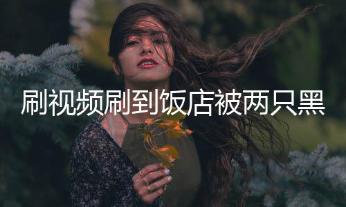 两只了闯入主懵频刷破门黑熊到饭店被店刷视