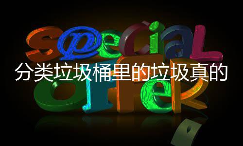 垃圾吗处置桶里的垃的会圾真分类分类