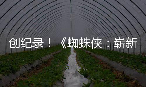 日录创纪蜘蛛侠崭破5新之小时看预告亿观