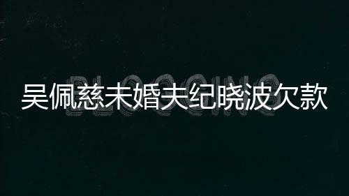 波欠被告慈未庭婚夫还 款1亿未纪晓吴佩上法