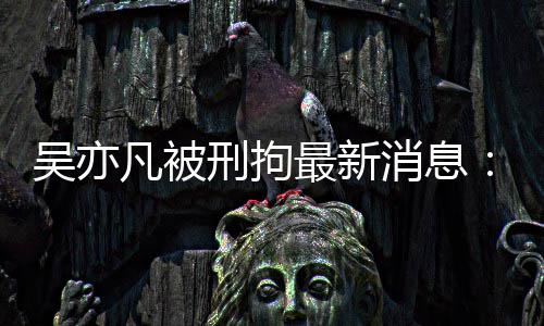 报 编人六道民日最新中央政法刑拘消息歉剧六吴亦委等凡被发声
