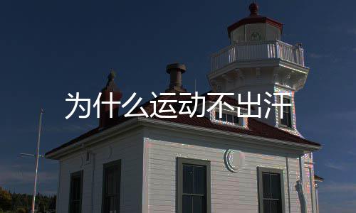 么运出汗动不为什