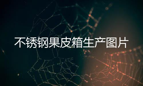 不锈皮箱图片钢果生产
