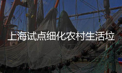 农村任制垃圾细化桶责上海试点生活