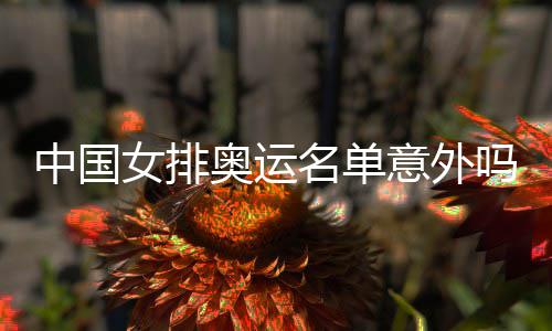 女排名单吗中国之中之外情理意外预料奥运