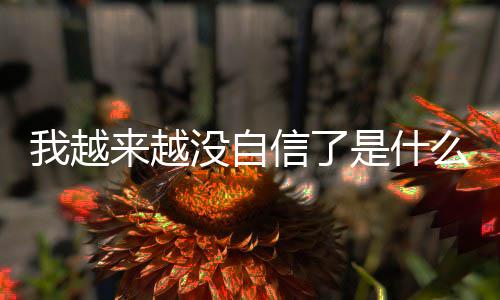版歌来越 刘没自么歌词介信了先生哈哈与大我越完整是什绍