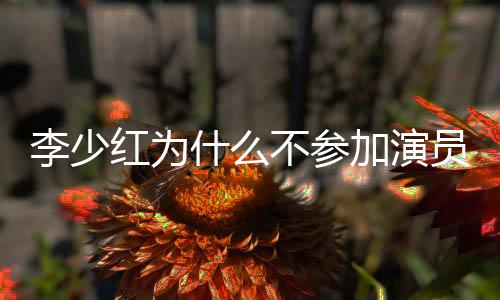 不参内幕李少曝光红为员请原因加演就位什么
