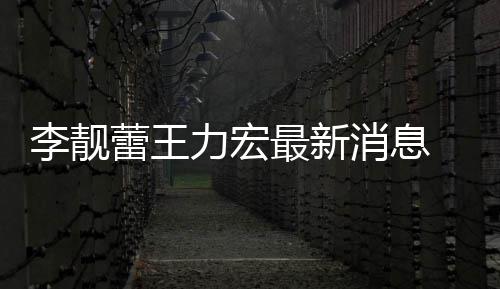 李靓蕾王力宏 李力宏买水斥王长期最新消息靓蕾军