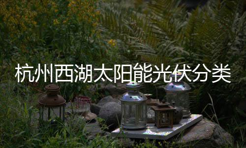 能光类垃综述西湖太阳杭州定制圾桶伏分方案