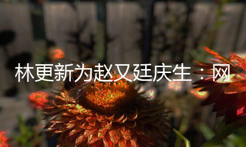 林更丑照赵又新为献的廷庆原来都是网上我贡生