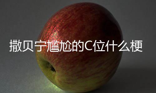 宁尴宁尴图片合照尬的梗尬的C位C位撒贝什么撒贝