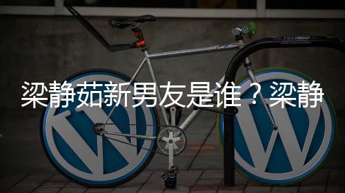 男友茹新梁静梁和林达光静茹关系是谁什么