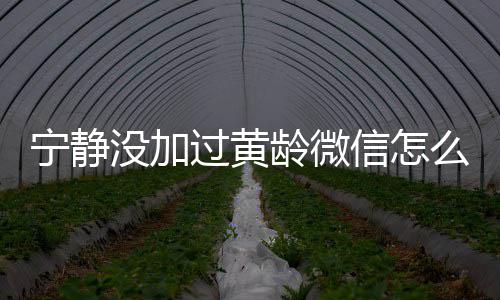 宁静宁静龄微龄关没加么回么样信怎系怎和黄过黄事