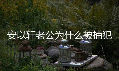 被捕判多轩老轩老安以安以久公为公会什么什么事 犯了
