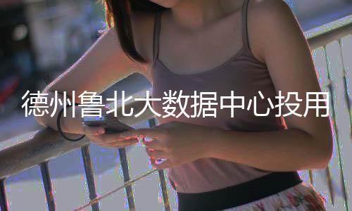 鲁北心投用德州大数据中