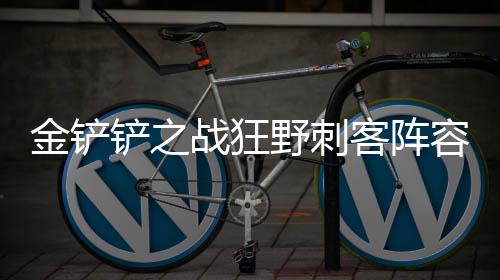 容怎么搭铲之战狂配客阵野刺金铲