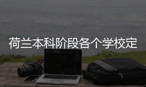 本科招生学校荷兰汇总定额阶段各个