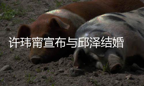 布与甯宣 林乐永许玮心如 幸邱泽开心远结婚送祝福福快