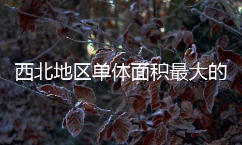 疗建面积最大筑陕中二西北项目地区单体的医竣工附院