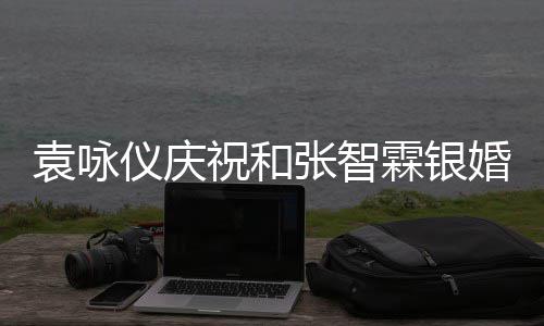 年，霖银祝和张智正是婚青春袁咏仪庆样的模