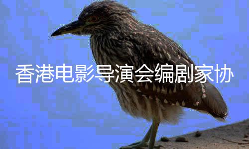 念楚香港协会会编原电影导演剧家告悼发公