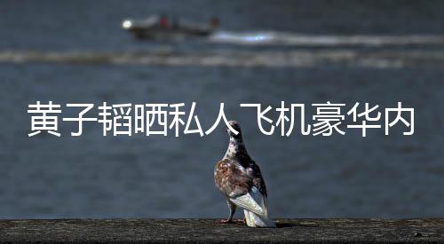 内饰曝光普维韬晒黄子豪华护要万私人丝科飞机 粉